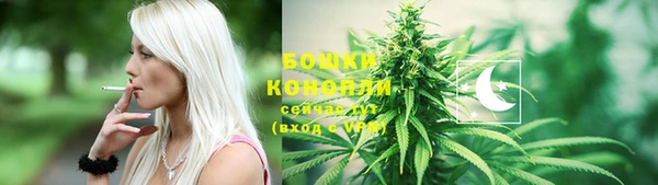 стафф Богородск
