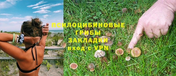 стафф Богородск